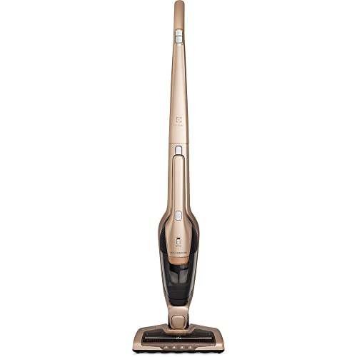 Aspirador de pó vertical Electrolux ERG26