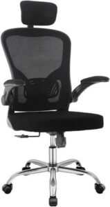 Cadeira Eurynom Ergonômica