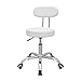 Cadeira POP Mocho com Encosto na cor Branca, para Profissionais de Estética, Manicure, Tatuadores e dentistas.