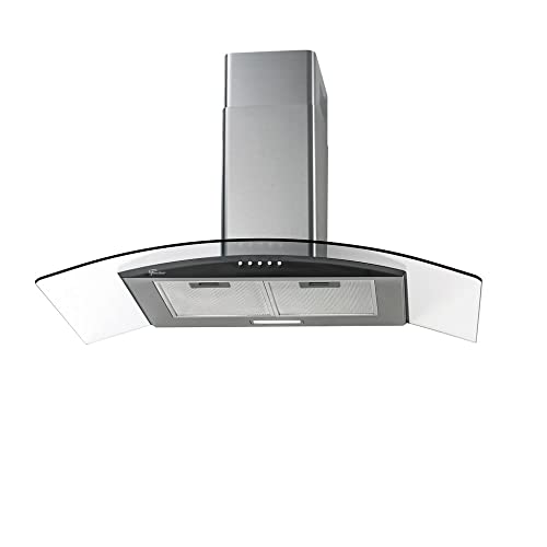 Coifa Fischer Talent Fit