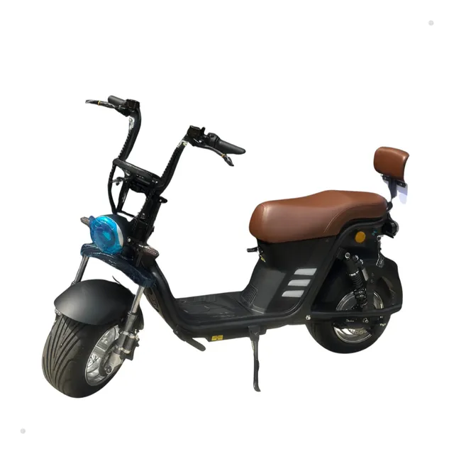 Eletrik Express X13 1000W