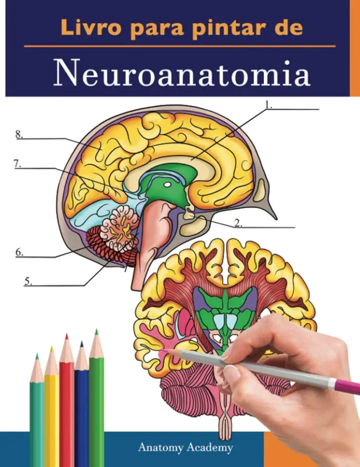 Livro para pintar de Neuroanatomia