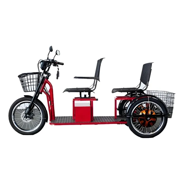 Smart Brasil Triciclo de 2 Lugares 1600W