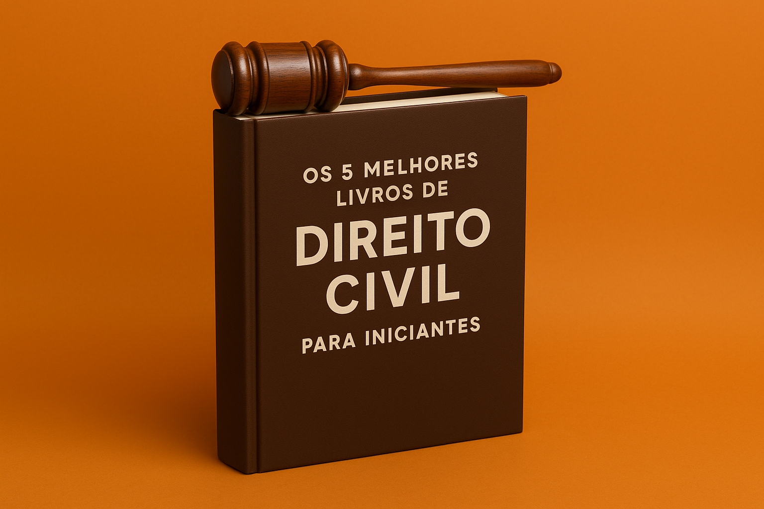 Os 5 Melhores Livros de Direito Civil para Iniciantes